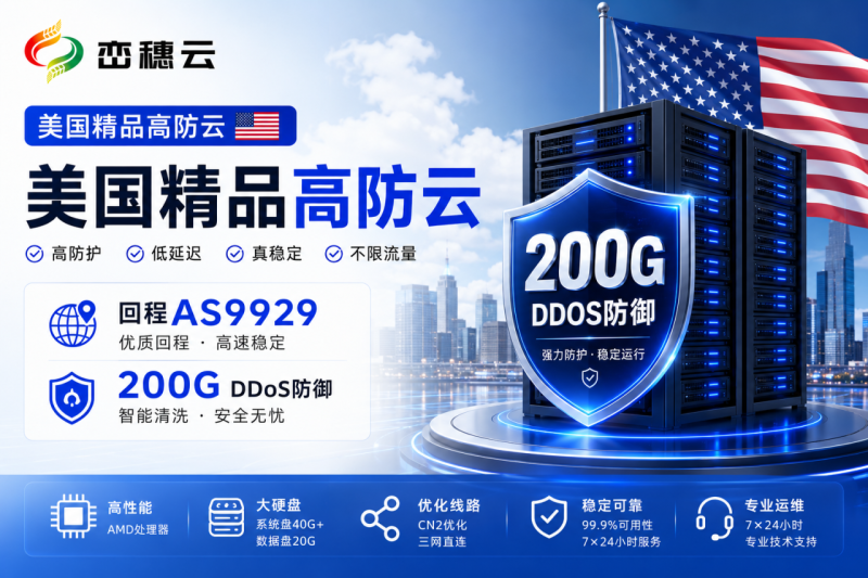 峦穗云美国精品高防云测评：出海全能之选-峦穗资源 - 免费商用字体下载 - 网站模板下载 - 建站教程