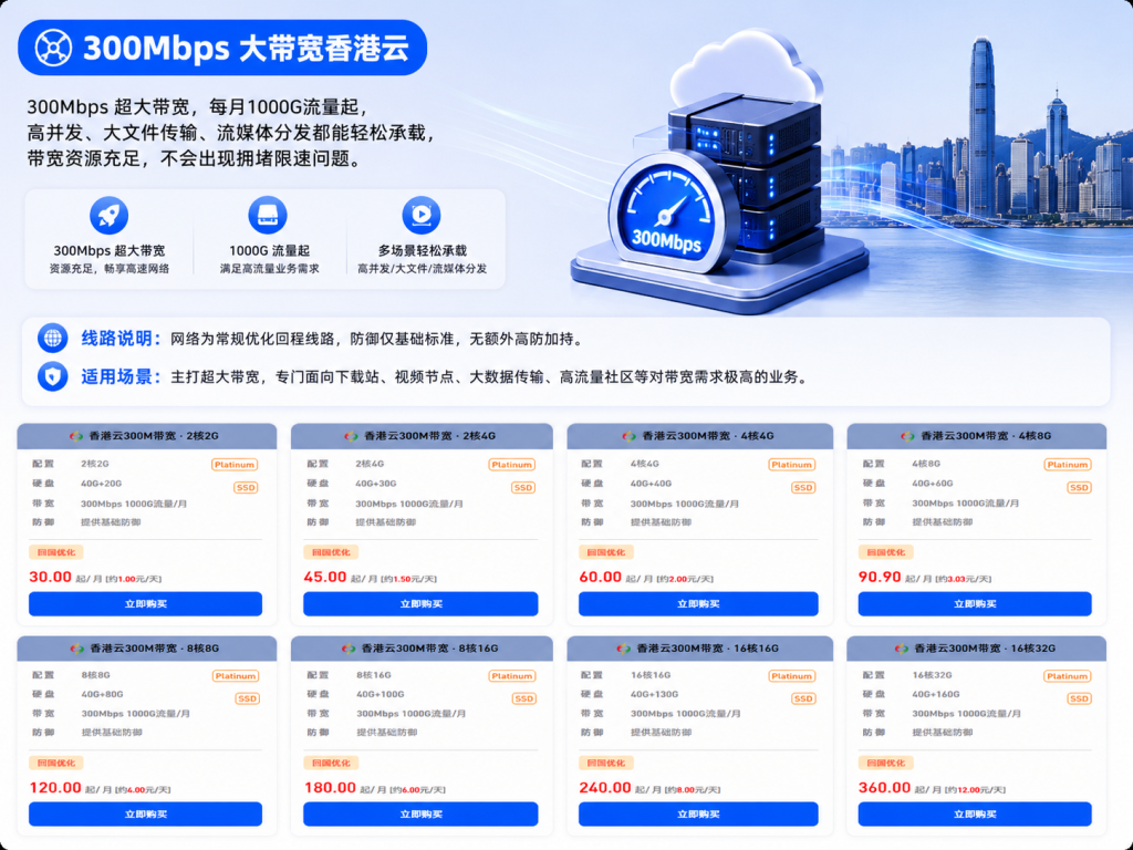 图片[3]-香港云服务器选购攻略：CN2、高防、300M 大带宽三大机型对比-峦穗资源 - 免费商用字体下载 - 网站模板下载 - 建站教程